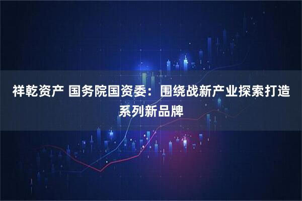 祥乾资产 国务院国资委：围绕战新产业探索打造系列新品牌