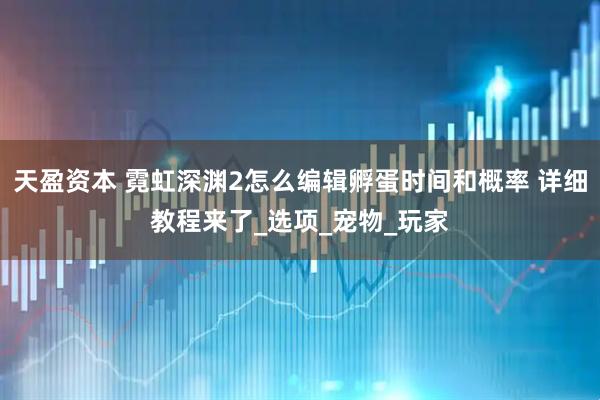 天盈资本 霓虹深渊2怎么编辑孵蛋时间和概率 详细教程来了_选项_宠物_玩家