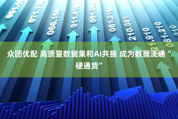 众团优配 高质量数据集和AI共振 成为数据流通“硬通货”
