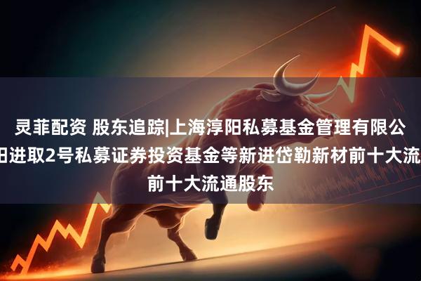 灵菲配资 股东追踪|上海淳阳私募基金管理有限公司-淳阳进取2号私募证券投资基金等新进岱勒新材前十大流通股东