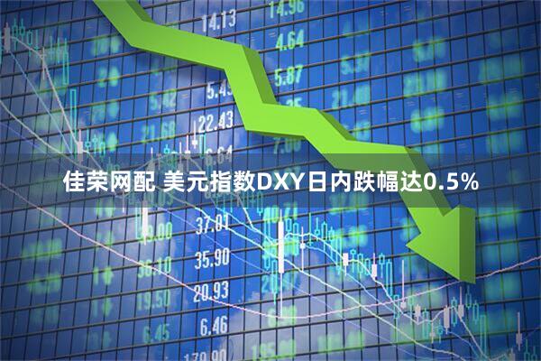 佳荣网配 美元指数DXY日内跌幅达0.5%