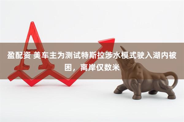 盈配资 美车主为测试特斯拉涉水模式驶入湖内被困，离岸仅数米